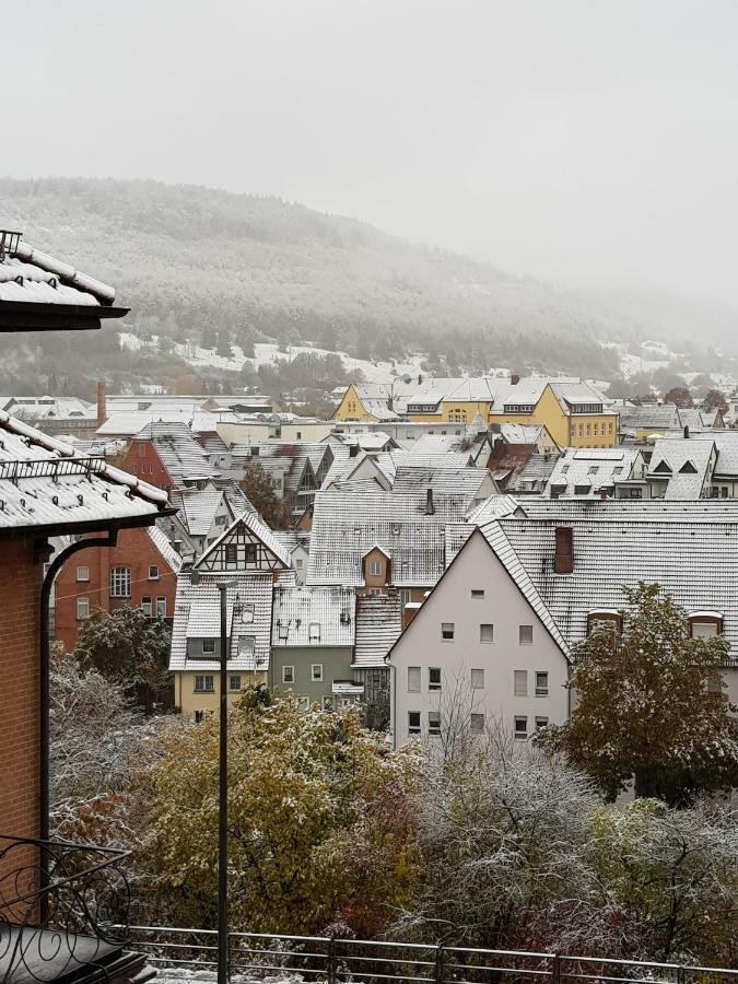 Ferienwohnungen Albstadt Luaran gambar