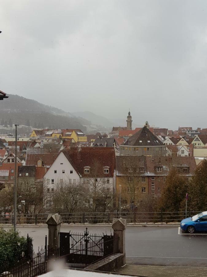 Ferienwohnungen Albstadt Luaran gambar