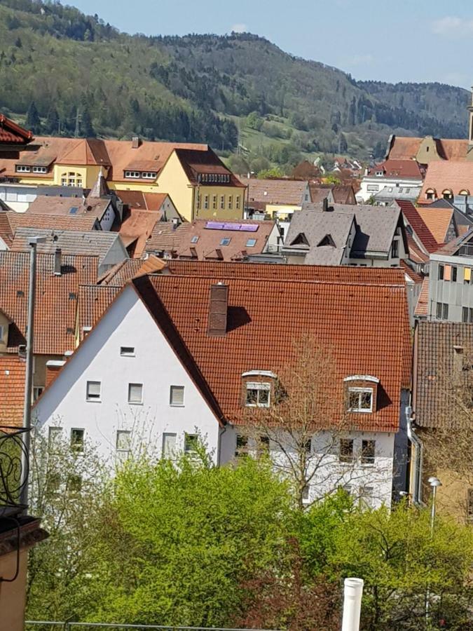 Ferienwohnungen Albstadt Luaran gambar